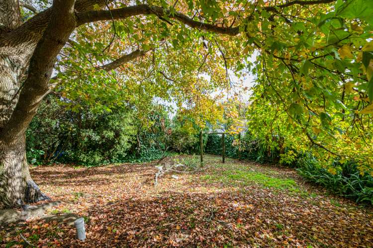 98 Wharf Road Te Atatu Peninsula_8