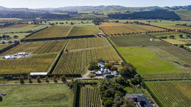 90 Puruatanga Road Martinborough_4