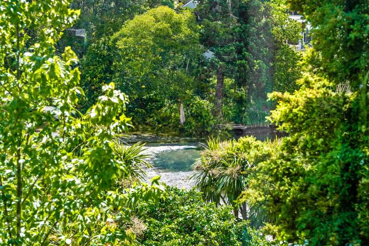 12 Dover Place Remuera_13