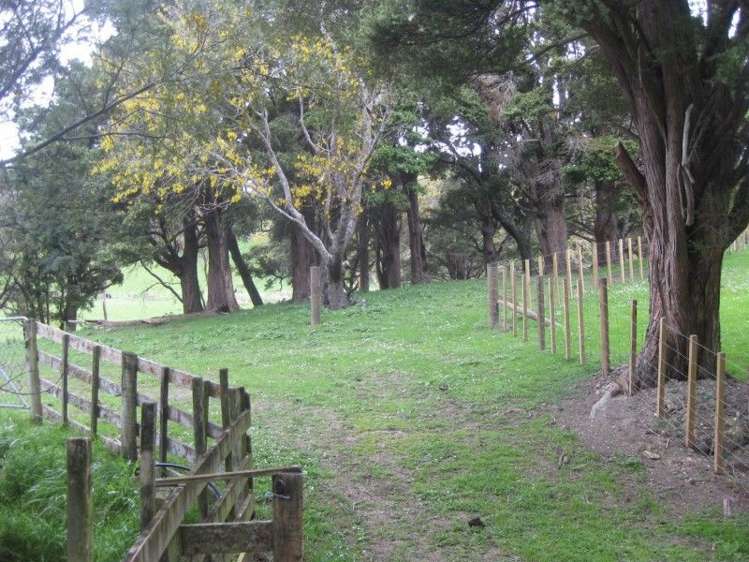 9124 Route 52 Weber_13