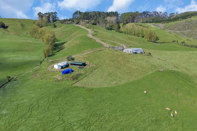Lot 2 Adams Road Glenbervie_14