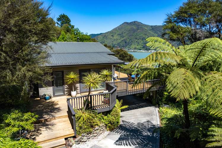 253 Queen Charlotte Drive Havelock_3