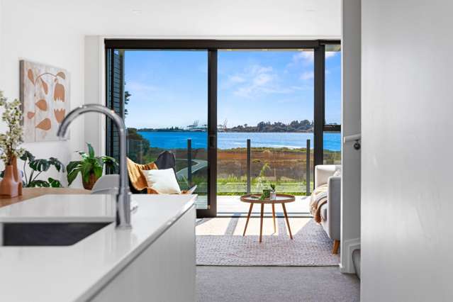 9/29 Montgomery Road Judea_3