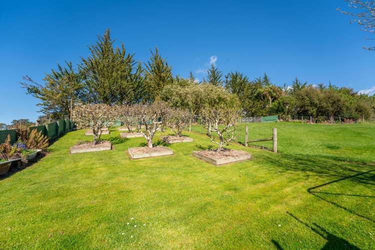 27 Mount Misery Road Waianakarua_31