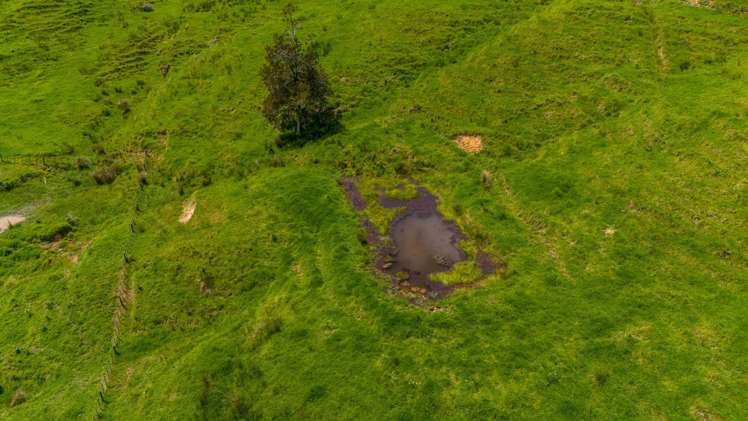 560 Diggers Valley Road Herekino_12