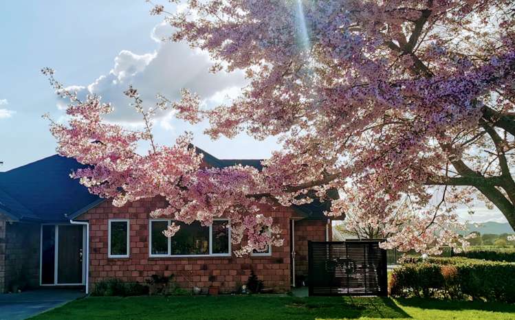 612 Te Kowhai Road Te Kowhai_16