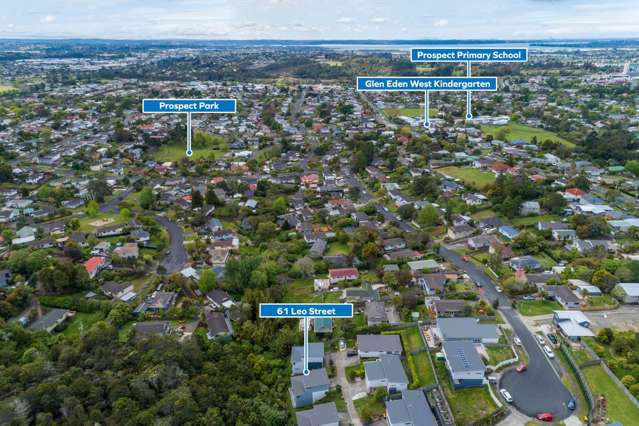 61 Leo Street Glen Eden_2