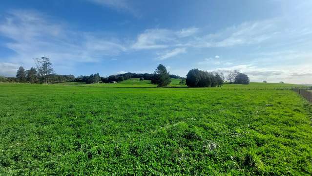 1323 SH One - Lot 1 Hikurangi_3