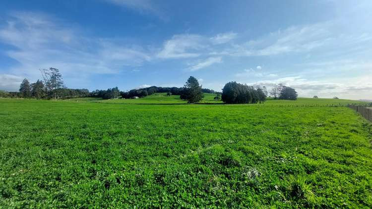 1323 SH One - Lot 1 Hikurangi_3