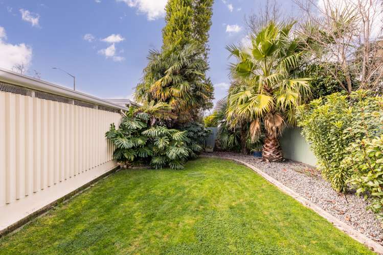 2/444 Gloucester Street Taradale_12