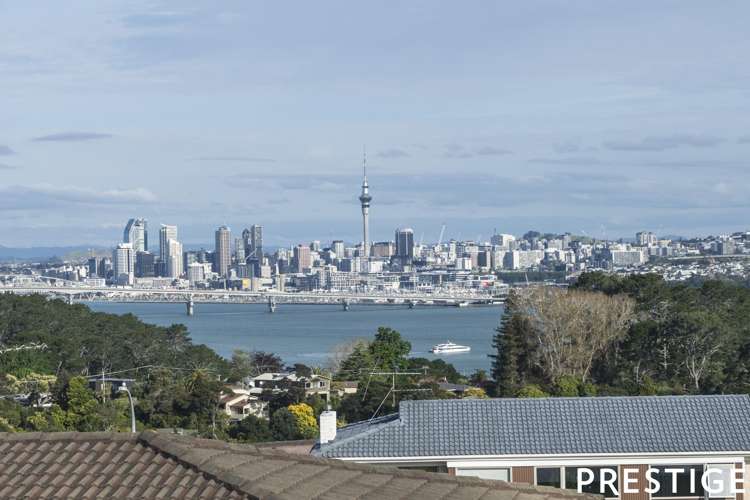 20 Chelsea View Drive Chatswood_0