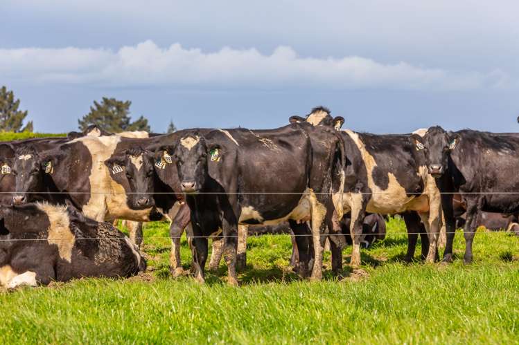 162 Burdons Road Burnham_14