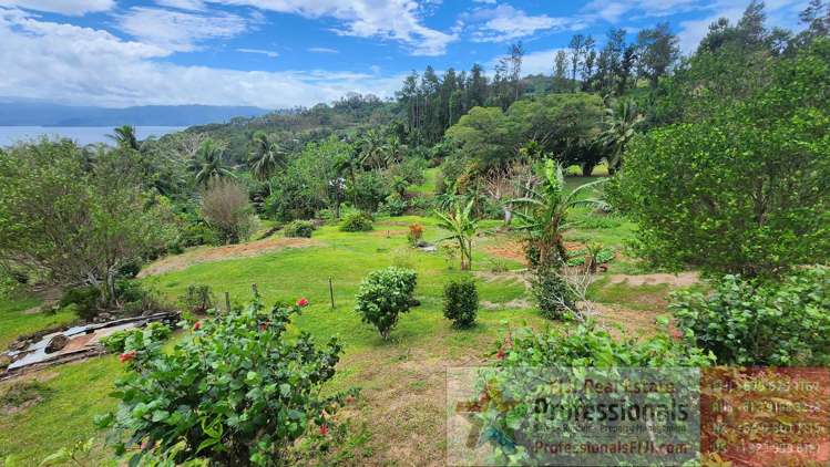 Address withheld Savusavu_15