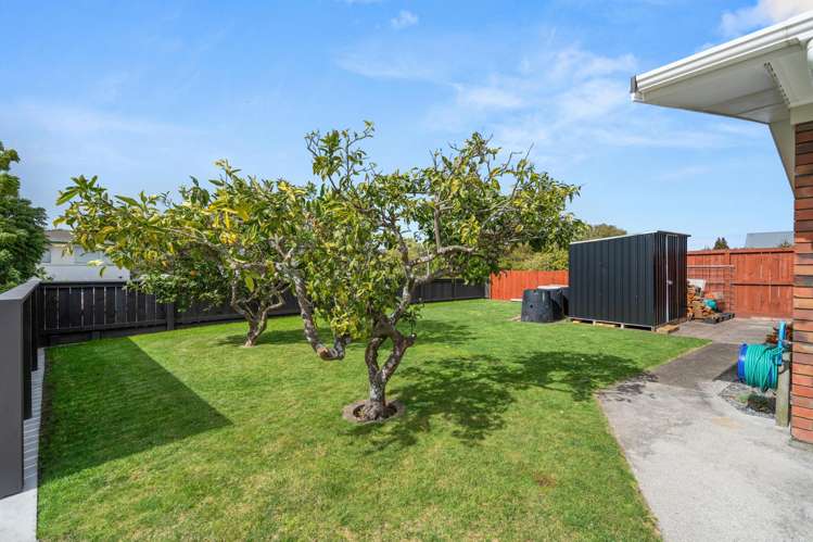 27 Meadowland Street Matua_14
