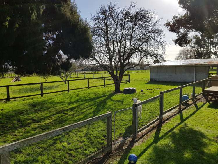 1015 Queen Street East Levin_2