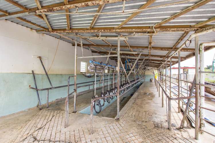 218 Waller Road Arapohue_6