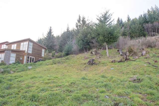 14 Vancouver Drive Queenstown_3