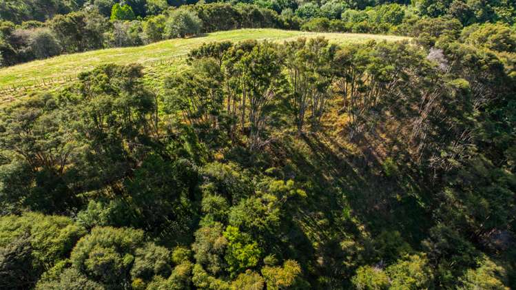 305 Waingaro Road Ngaruawahia_9