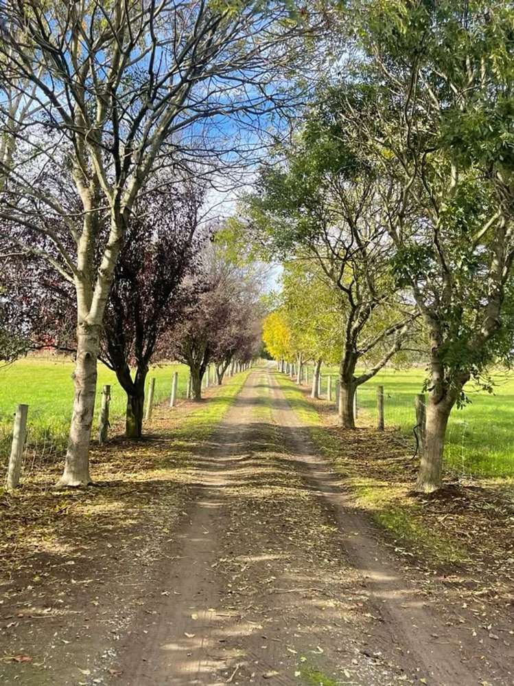 44 Woolshed Road Oamaru_25