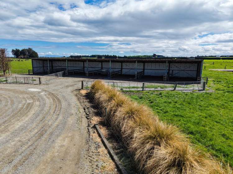 296 Oporo Flat Road Oporo_5