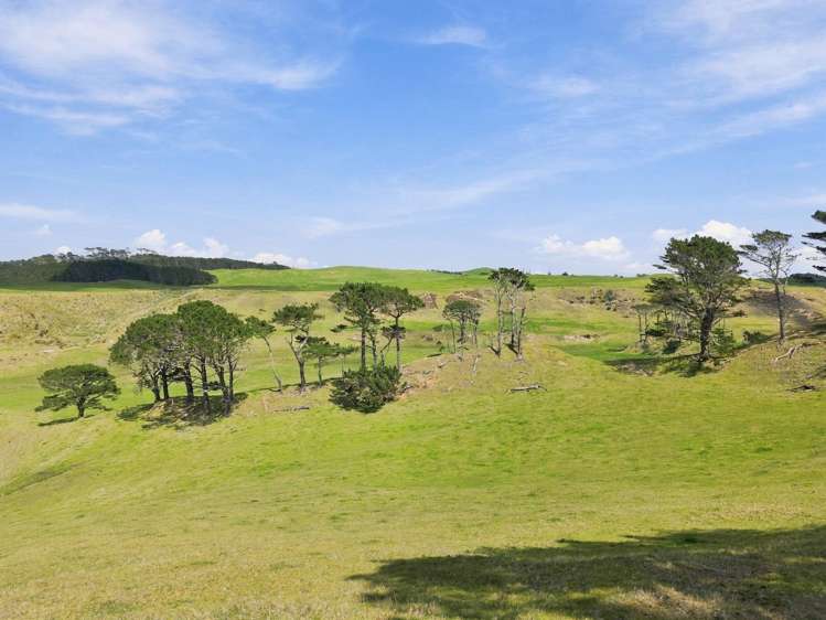 Mount Wesley Coast Road Dargaville_9