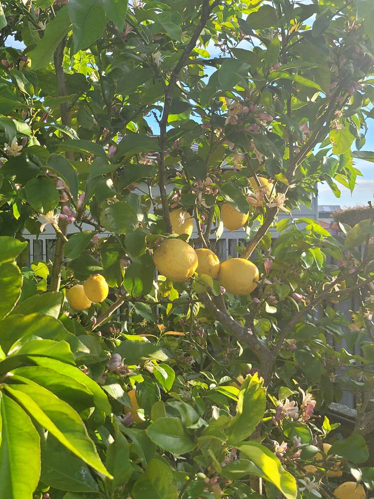 17 Hakanoa Street Huntly_45