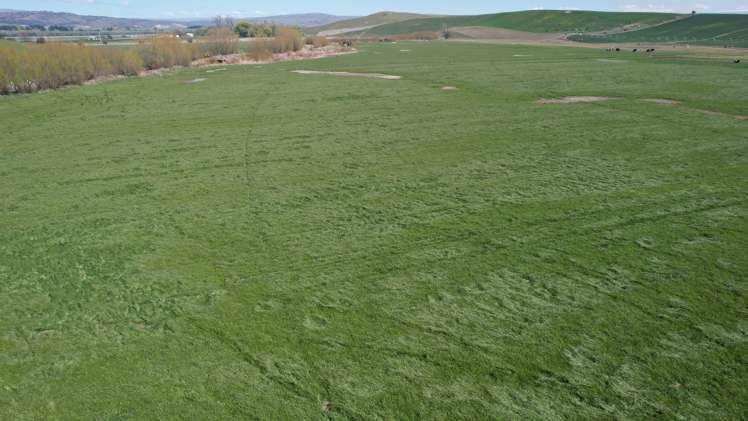 51 Saint Bathans Loop Road Becks_28