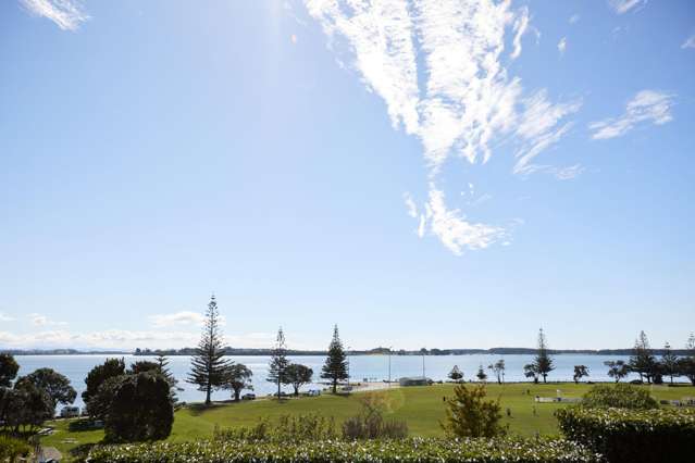 145 Waratah Street Matua_3