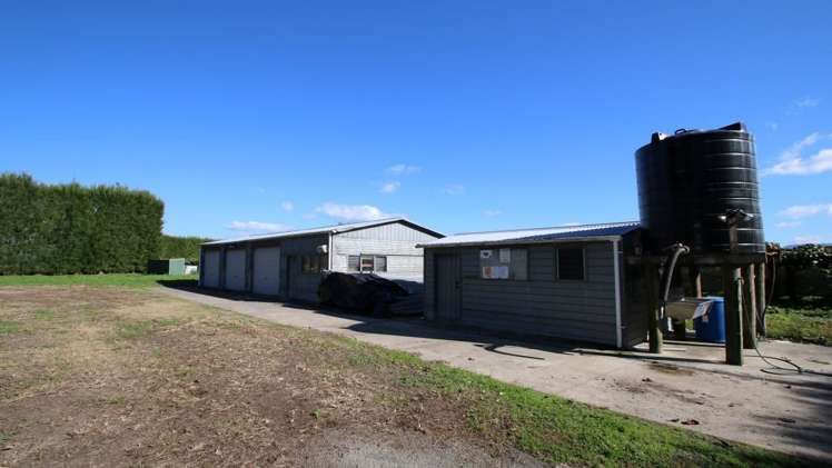 191 Gow Road Edgecumbe_6