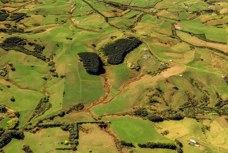 136 Valley Road Waitoki_11