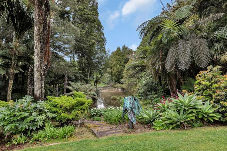 436 Crane Road Kauri_31