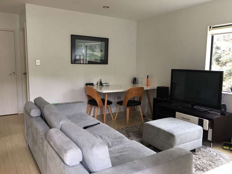 219A Gills Road Albany_18