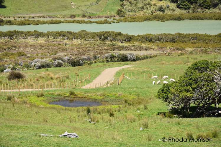 321 Heatley Road Whakapirau_31