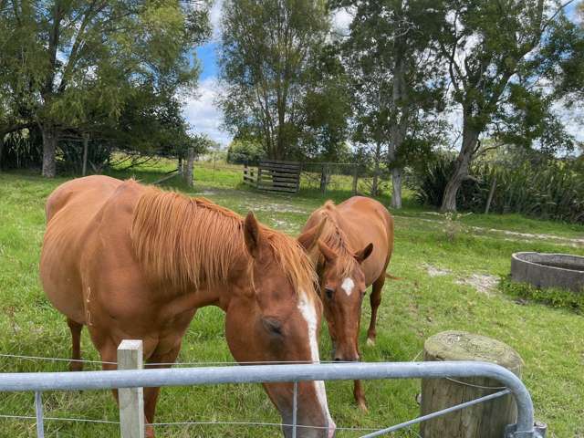 44 Follies Way Dairy Flat_1