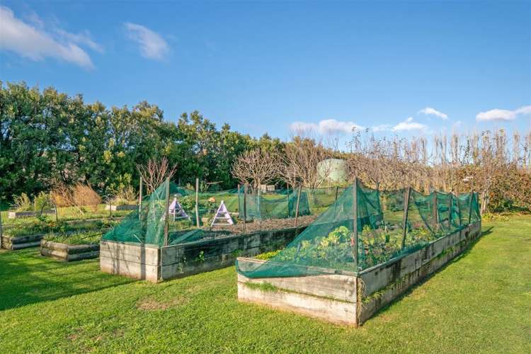 280 Tyntesfield Road Waihopai Valley_14