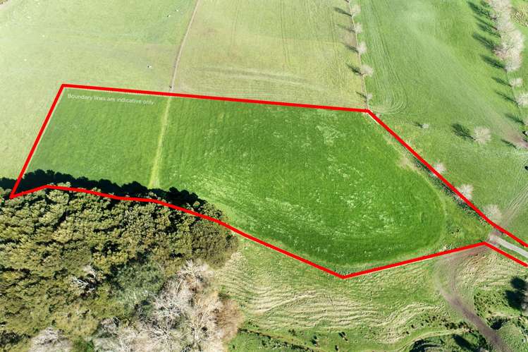 237 Ostrich Farm Road_3