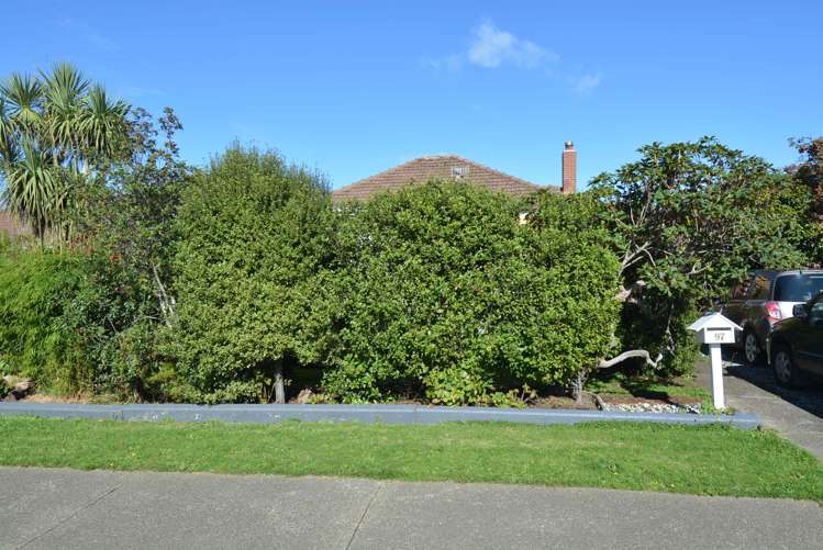 97 Miller Street Georgetown_24