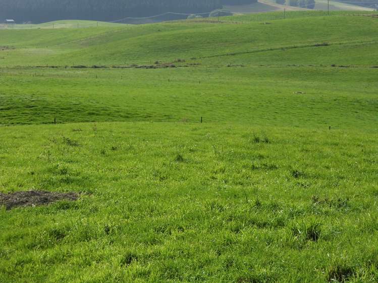 277 Cowans Road Enfield and Surrounds_12