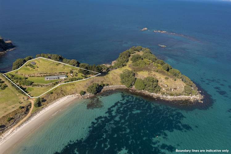 191b Pacific Ocean Slipper Island (Whakahau)_23