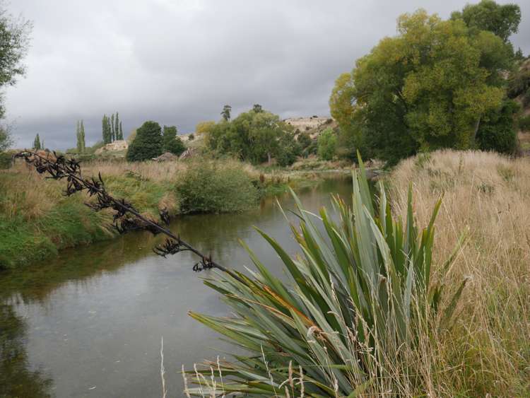 1390 Dunback-Morrisons Road Waynes_31