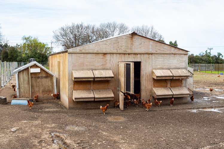 640 Taylor Road Geraldine_7