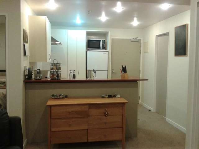 4b/163 The Terrace Wellington Central_2