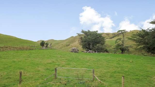 420 Mangaoranga Road Eketahuna_2