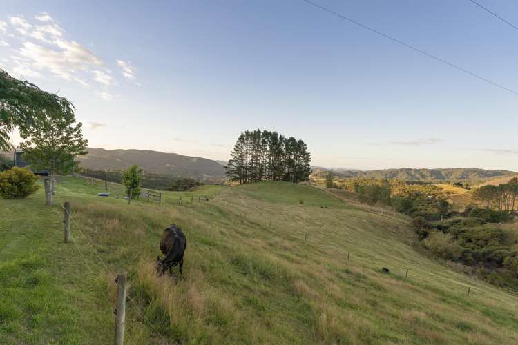 50B Paul Road Whenuakite_44