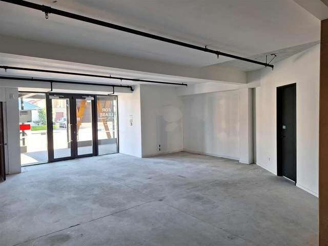 45 Riccarton Road Riccarton_2