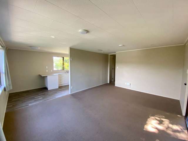 159 Don Buck Road Massey_2
