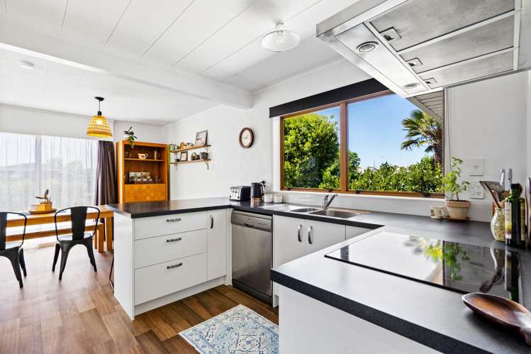 55 Guppy Road Greenmeadows_5