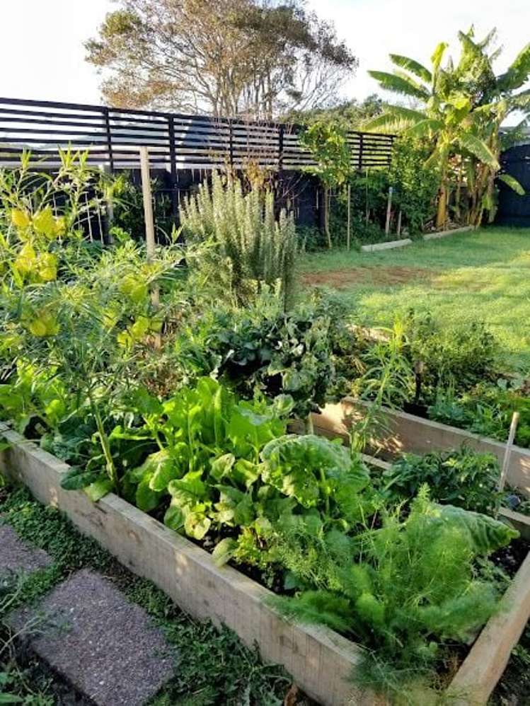 4/1594 Great North Road Waterview_15