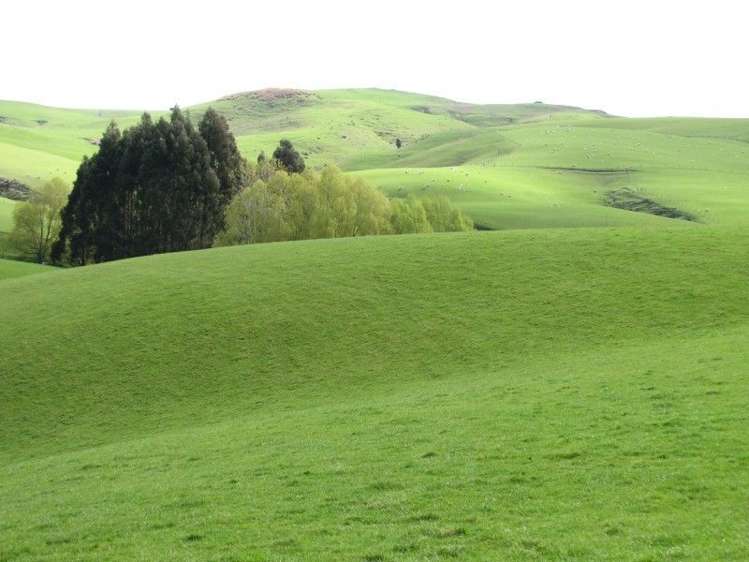 236 Kee Road Gore Surrounds_15