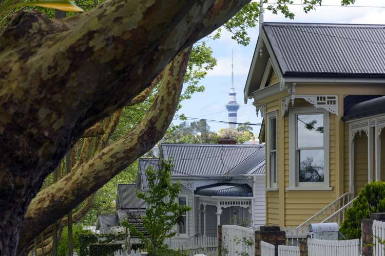 31 Hakanoa Street Grey Lynn_20